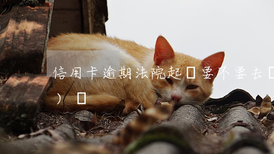 信用卡逾期法院起訴要不要去應(yīng)訴