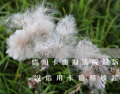 信用卡逾期法院起訴警告函是真的(收到短信說信用卡逾期被起訴)