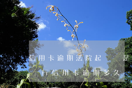 信用卡逾期法院起訴還是沒(méi)錢(欠銀行信用卡逾期多久會(huì)被起訴)