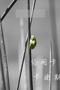 信用卡逾期法院起訴還能開車嗎(朋友借信用卡逾期不還可以起訴嗎)