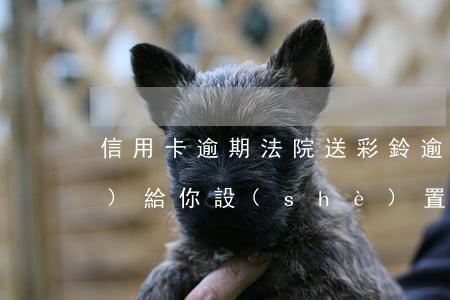 信用卡逾期法院送彩鈴(逾期有權(quán)給你設(shè)置專屬彩鈴嘛)