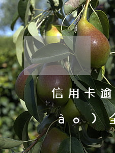 信用卡逾期法院開庭會(huì)通報(bào)全國(guó)嗎-信用卡逾期法院開庭會(huì)通報(bào)全國(guó)嗎知乎