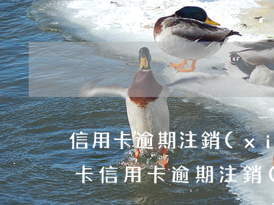 信用卡逾期注銷(xiāo)后怎么重新辦卡 信用卡逾期注銷(xiāo)后怎么重新辦卡還款
