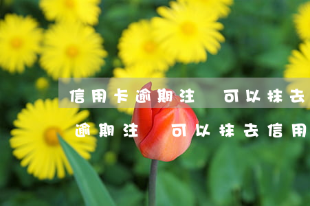 信用卡逾期注銷可以抹去信用記錄-信用卡逾期注銷可以抹去信用記錄嗎