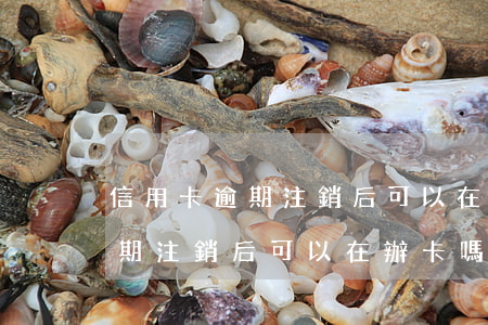 信用卡逾期注銷后可以在辦卡嗎-信用卡逾期注銷后可以在辦卡嗎