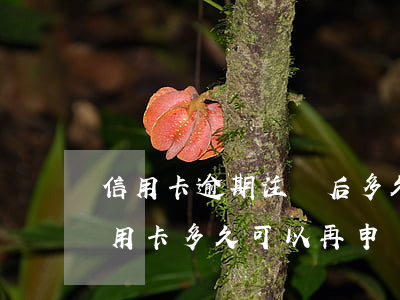 信用卡逾期注銷后多久能辦信用卡(注銷完信用卡多久可以再申請)