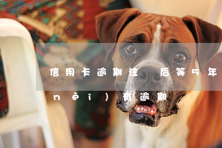 信用卡逾期注銷后等5年-信用卡5年內(nèi)有逾期