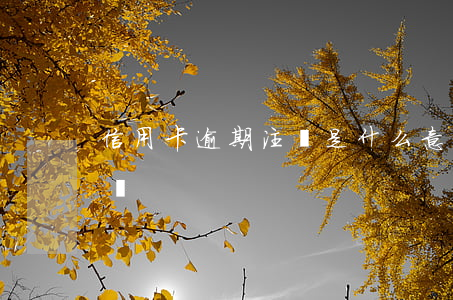 信用卡逾期注銷是什么意思 逾期的信用卡注銷