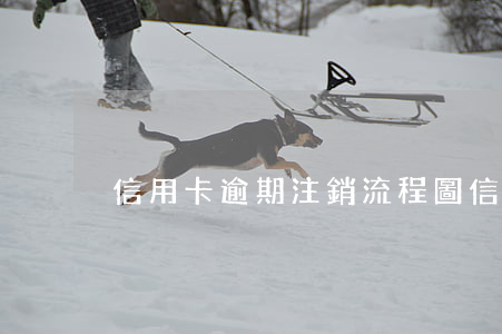 信用卡逾期注銷流程圖（信用卡逾期注銷流程）