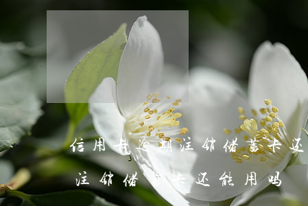 信用卡逾期注销储蓄卡还能用吗(信用卡逾期注销储蓄卡还能用吗)