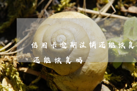 信用卡逾期注销还能恢复吗 信用卡逾期注销还能恢复吗