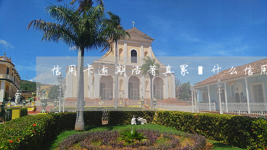 信用卡逾期活著真累(為什么信用卡逾期)