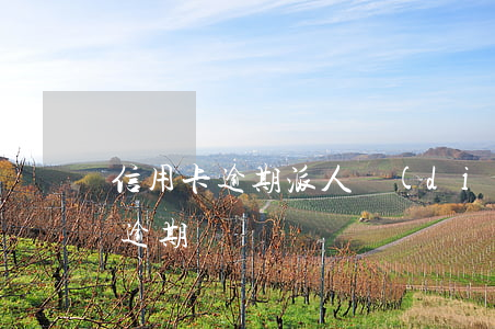 信用卡逾期派人調(diào)查-“信用卡逾期”
