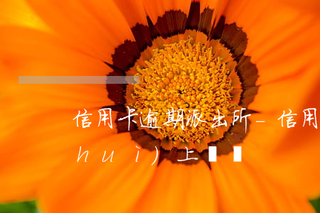 信用卡逾期 派出所-信用卡逾期派出所會(huì)上門嗎