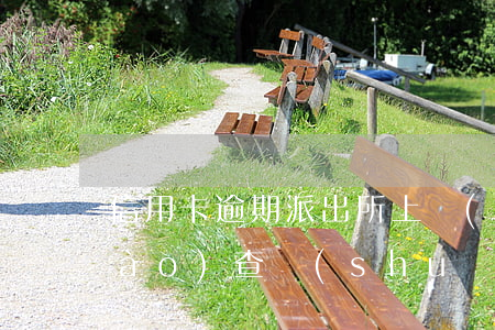 信用卡逾期派出所上門(mén)調(diào)查(說(shuō)信用卡逾期找上門(mén)了)