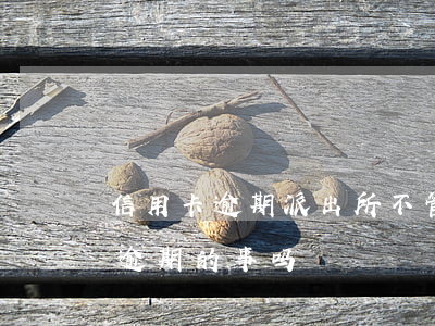 信用卡逾期派出所不管吗(公安局会管信用卡逾期的事吗)