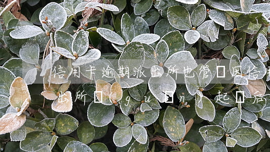 信用卡逾期派出所也管嗎(因信用卡逾期被派出所關(guān)起來后會怎么樣)