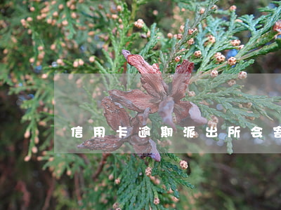 信用卡逾期派出所会寄快递嘛(信用卡寄过来)