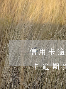 信用卡逾期派出所会立案吗(法院会受理信用卡逾期案件吗)