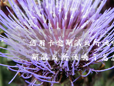 信用卡逾期派出所传唤了怎麽办-信用卡逾期派出所传唤了怎麽办理