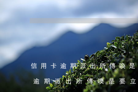 信用卡逾期派出所傳喚是要立案嗎-信用卡逾期派出所傳喚是要立案嗎知乎