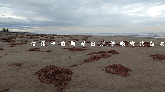 信用卡逾期派出所傳喚會拘留嗎