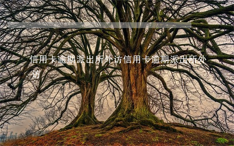 信用卡逾期派出所外访（信用卡逾期派出所外访）