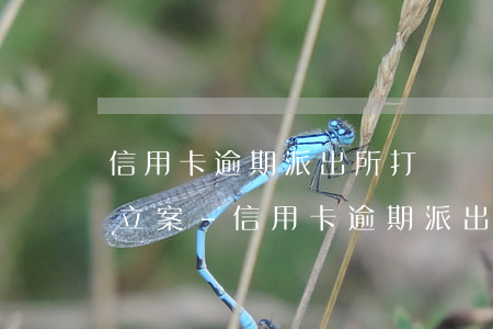 信用卡逾期派出所打電話說(shuō)要立案-信用卡逾期派出所打電話說(shuō)要立案是真的嗎