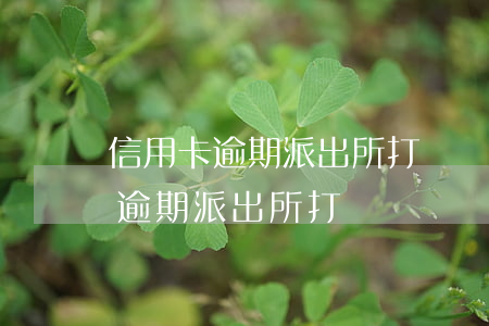 信用卡逾期派出所打電話說處理我-信用卡逾期派出所打電話說處理我欠款
