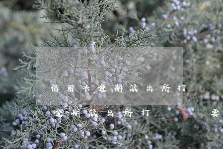 信用卡逾期派出所打電話說要上門-信用卡逾期派出所打電話說要上門是真的嗎