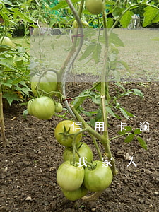 信用卡逾期派出所找我(信用卡逾期派出所找我家人)