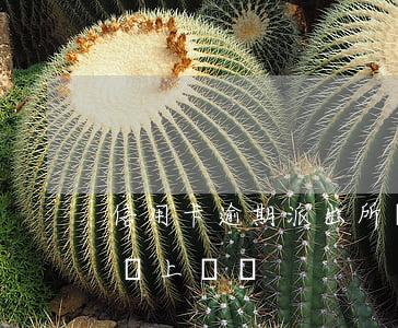 信用卡逾期派出所會上門嗎(欠信用卡派出所會上門嗎)