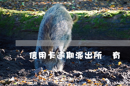 信用卡逾期派出所會有記錄嘛