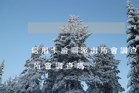 信用卡逾期派出所會調查嗎(信用卡逾期派出所會調查嗎)