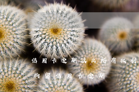 信用卡逾期派出所有权利拘留吗 被公安机关拘留信用卡逾期