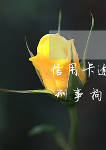 信用卡逾期派出所有權(quán)拘留(因刑事拘留信用卡逾期)