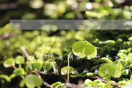 信用卡逾期派出所要求去處理是真的嗎（信用卡逾期派出所要求去處理）