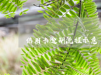 信用卡逾期流程示意圖