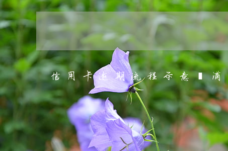 信用卡逾期流程示意圖浦發(fā)