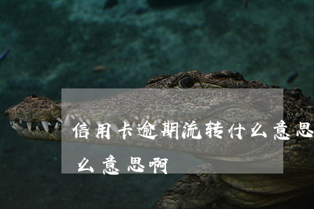 信用卡逾期流转什么意思(信用卡逾期流转什么意思啊)