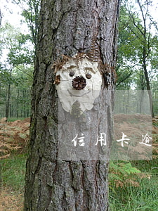信用卡逾期海能出國嗎