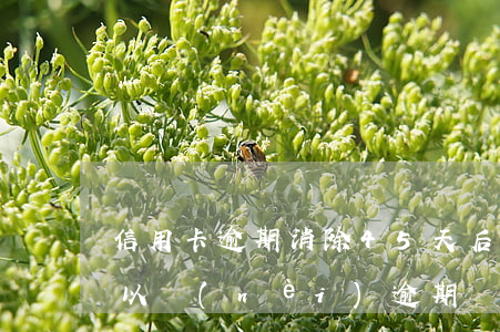 信用卡逾期消除45天后生效(信用卡30天以內(nèi)逾期)
