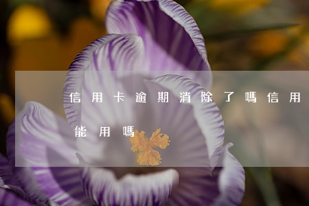 信用卡逾期消除了嗎(信用卡逾期消除了嗎還能用嗎)
