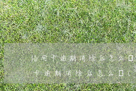 信用卡逾期消除后怎么協(xié)商(信用卡逾期消除后怎么協(xié)商)