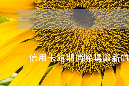 信用卡逾期消除嗎 最新的信用卡逾期處理