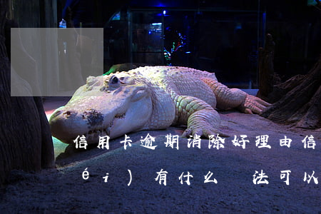 信用卡逾期消除好理由(信用卡逾期有沒(méi)有什么辦法可以消除)