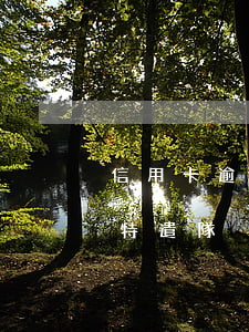 信用卡逾期消除新加坡-東寧特遣隊和遠東特遣隊