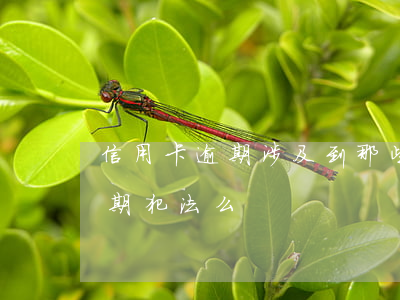 信用卡逾期涉及到那些刑法(很多张信用卡逾期犯法么)