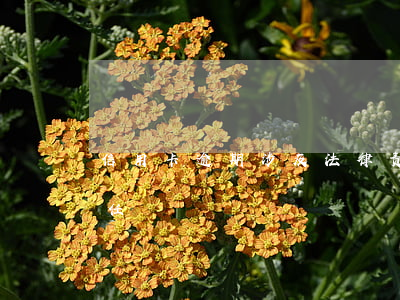 信用卡逾期涉及法律责任(信用卡逾期刑事责任)