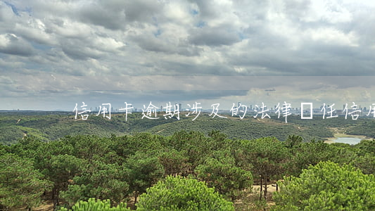信用卡逾期涉及的法律責任(“信用卡逾期”)